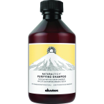 DAVINES - NATURALTECH PURIFYING Shampoo 250ML